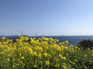 Read more about the article ホテル周りの景色